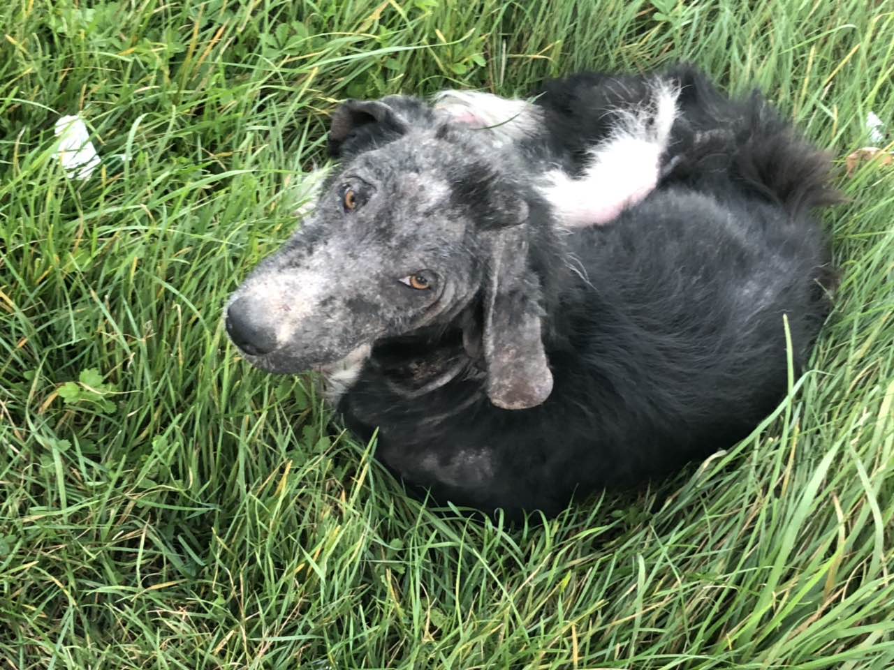 JEDNODNEVNI SEMINAR: Dermatologija - praktičan pristup