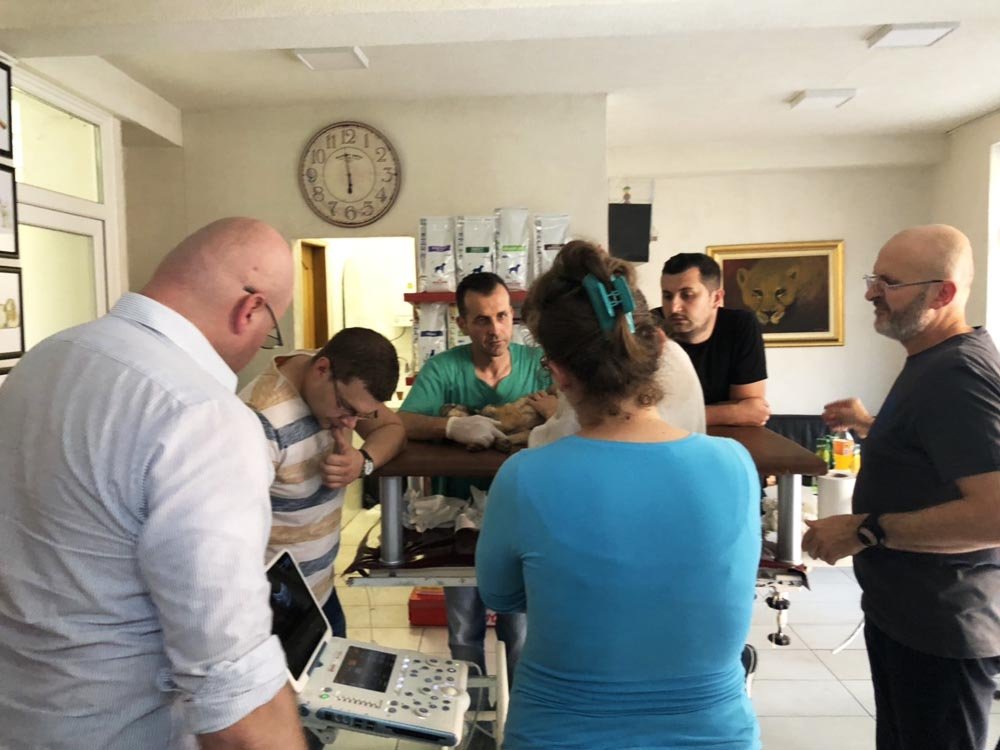 Uplata članarina za 2022.godinu