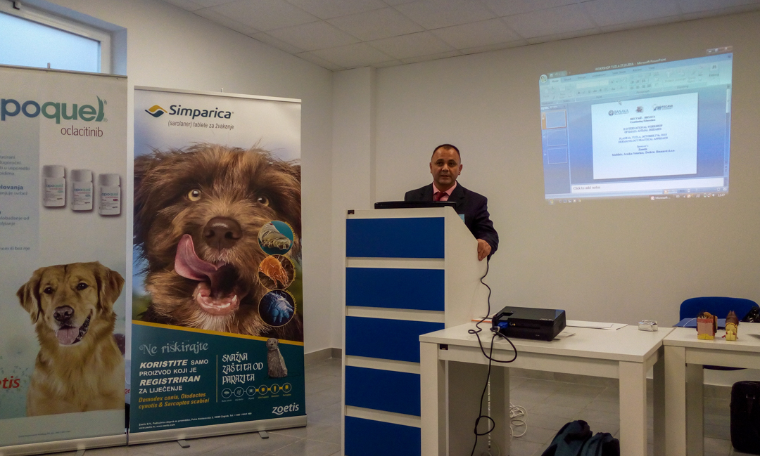 Godišnji  izvještaj: Za 2018. godinu