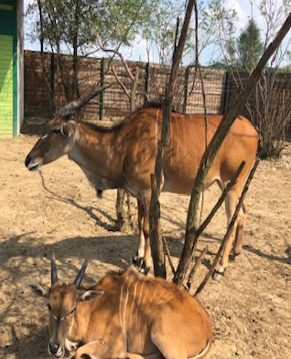 Otkazan seminar: Egzootične i divlje životinje: anestezija,dijagnostika i istraživanje.